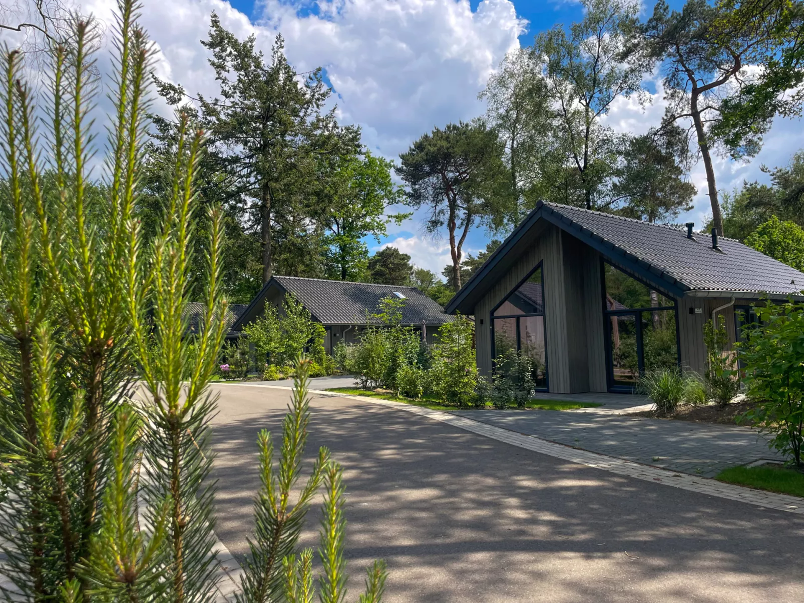 Vakantiepark Latour - Op het park