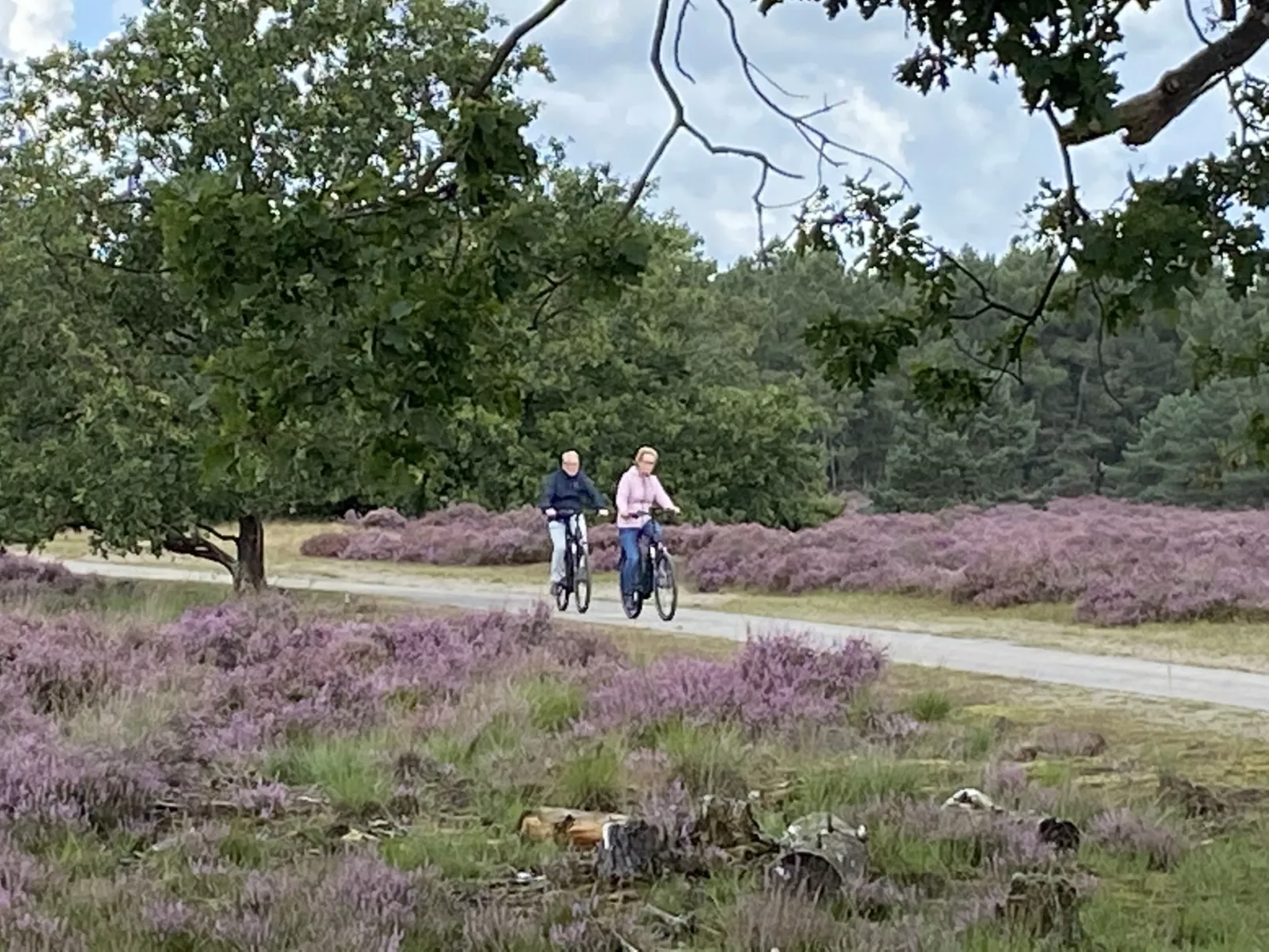 Recreatiepark Duinhoeve - Activiteiten