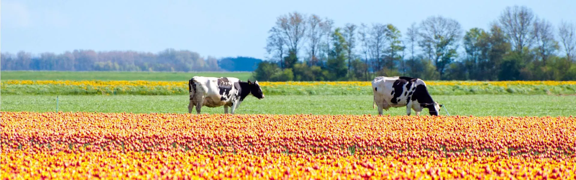 Genieten op een vakantiepark in Kraggenburg