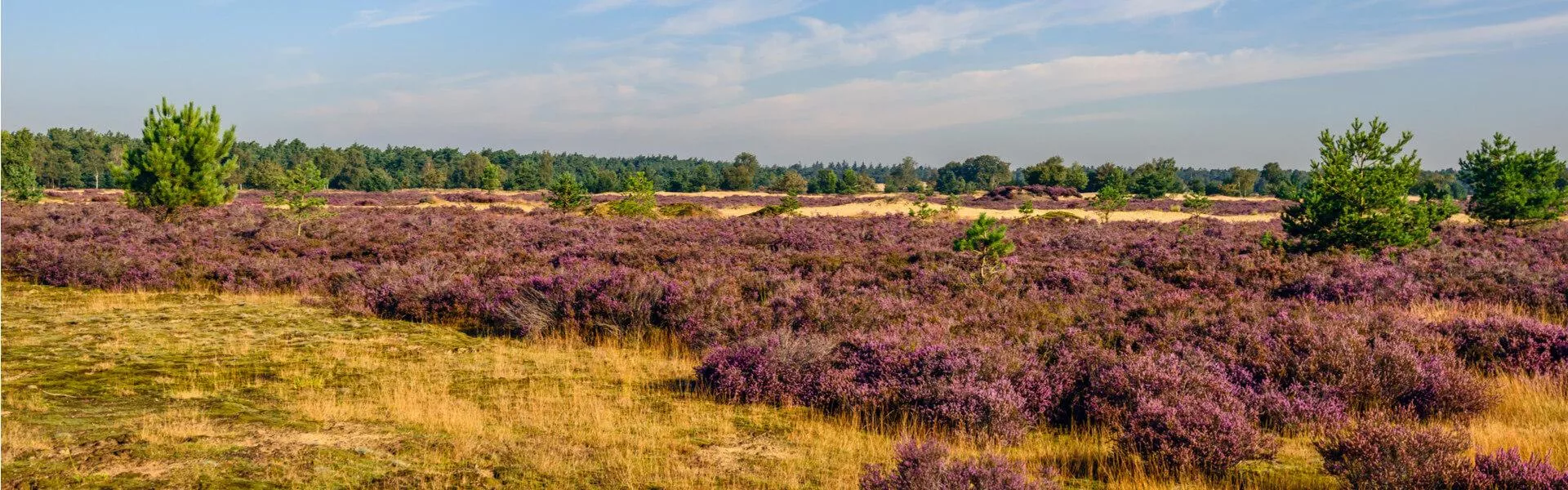 Genieten op een vakantiepark in Veldhoven