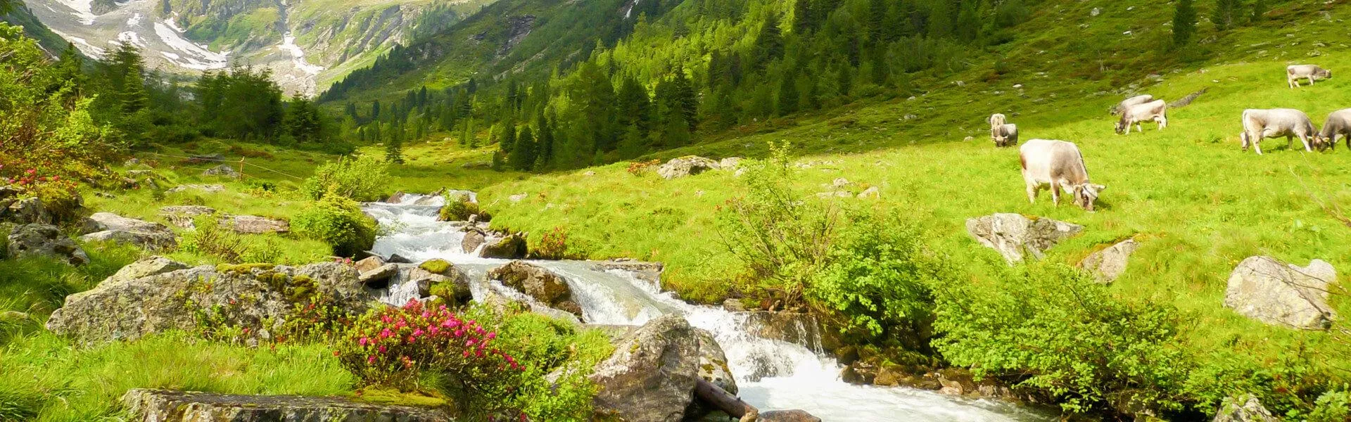 Vorarlberg