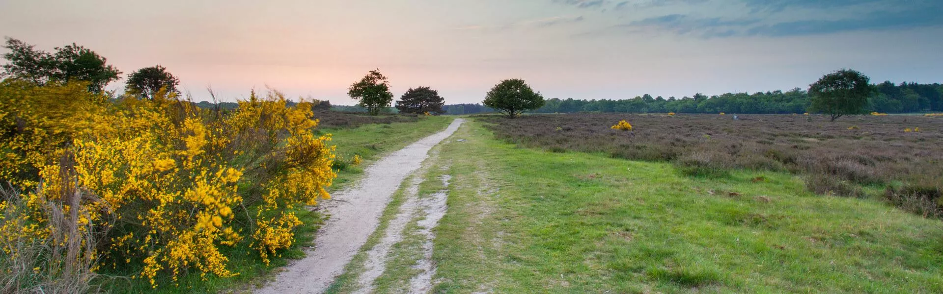 Genieten op een vakantiepark in Hilversum