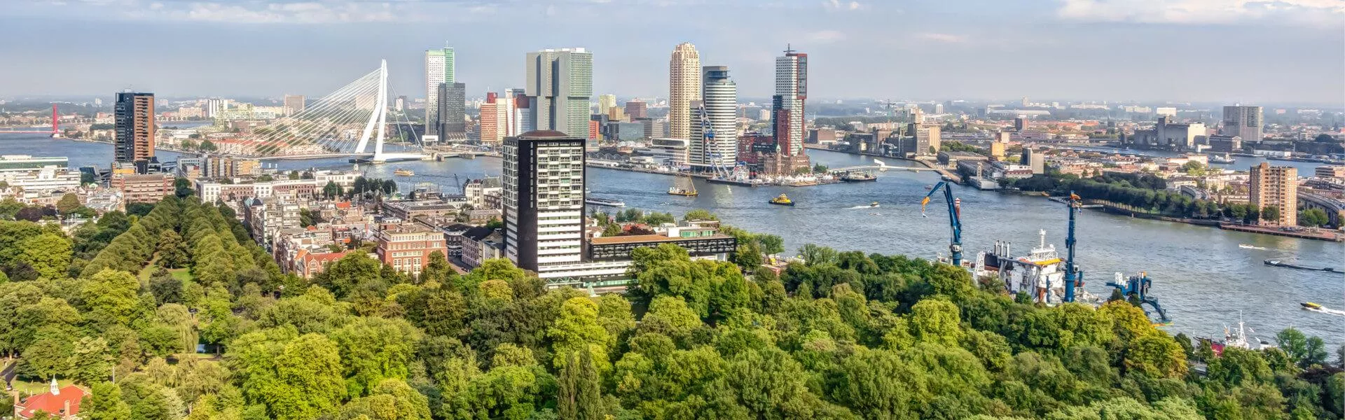 Genieten op een vakantiepark in Rotterdam