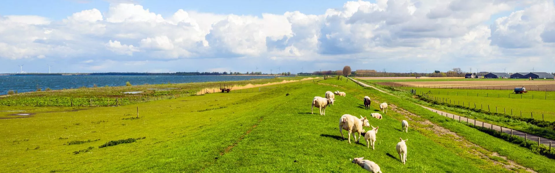 Genieten op een vakantiepark in Goeree-Overflakkee