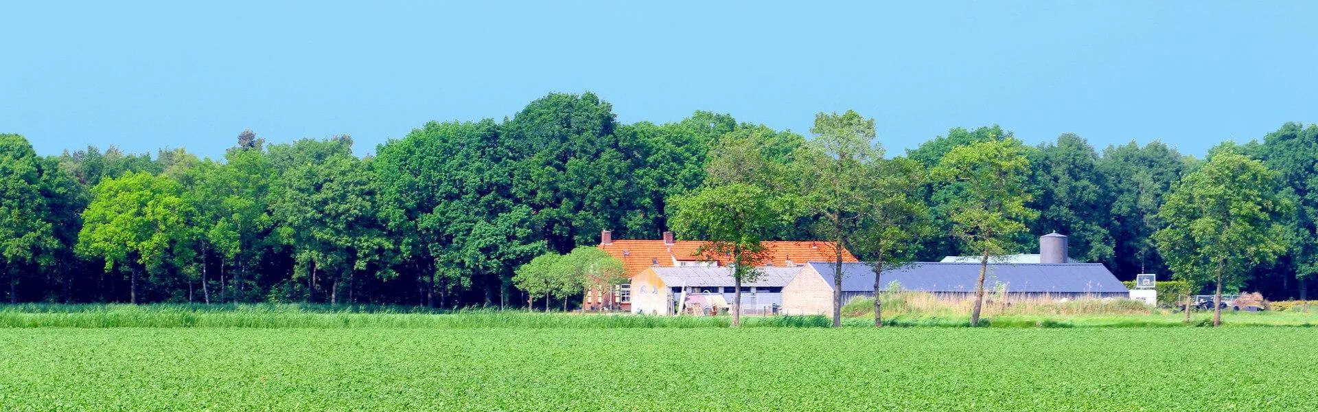 Genieten op een vakantiepark in Oss
