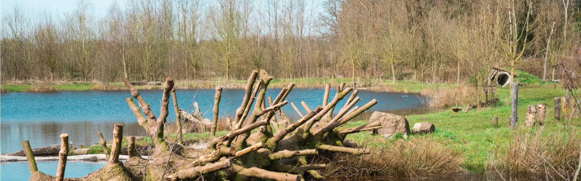 Genieten op een vakantiepark in Veghel
