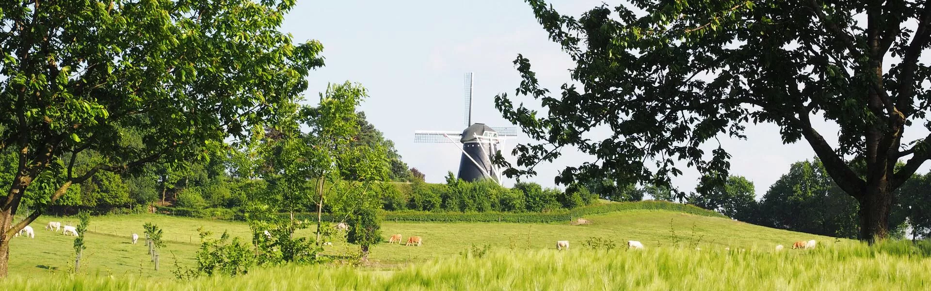 Genieten op een vakantiepark in Weert
