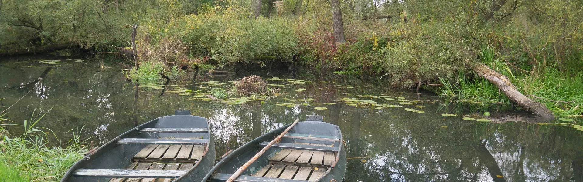 Genieten op een vakantiepark in Biesbosch