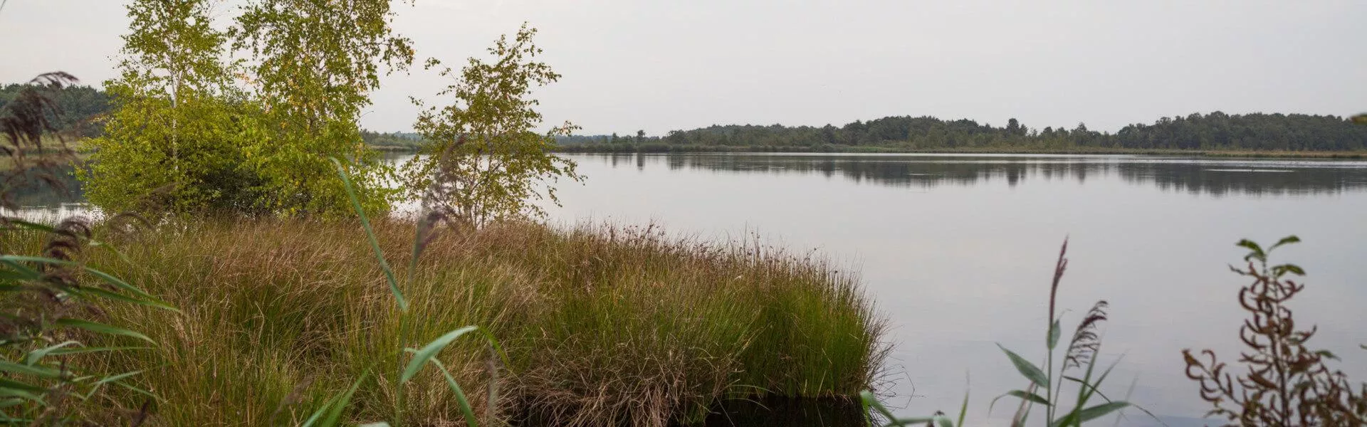 Genieten op een vakantiepark in de Peel
