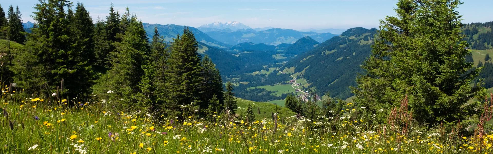 Genieten op een vakantiepark in Allgäu