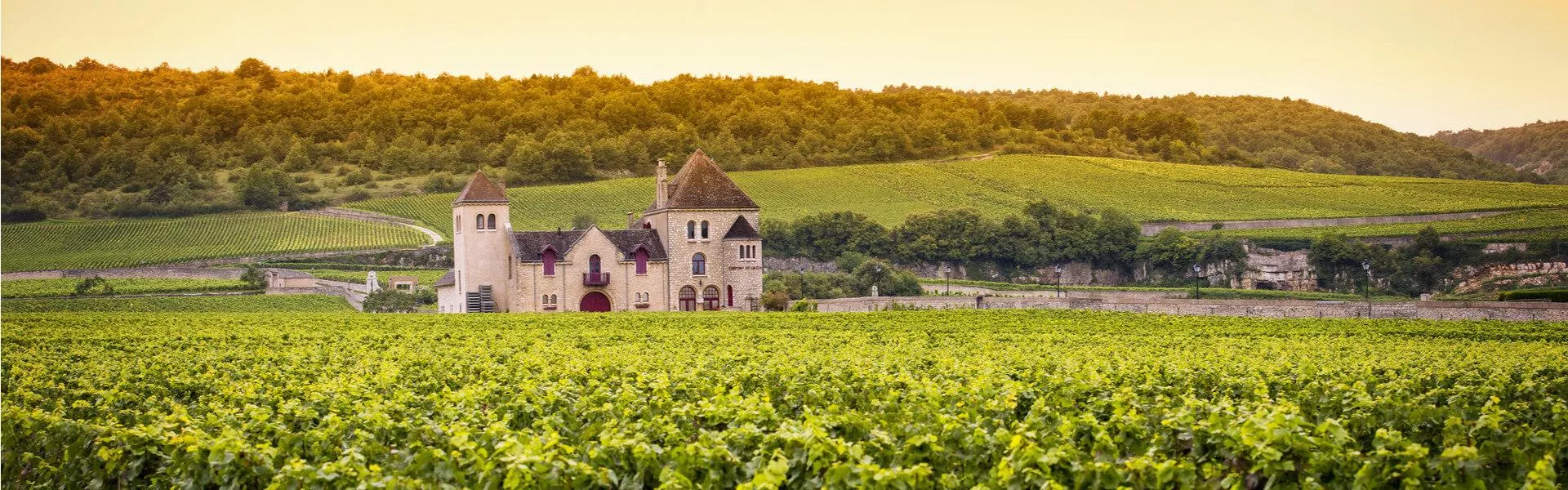 Genieten op een vakantiepark in Bourgondië-Franche-Comté