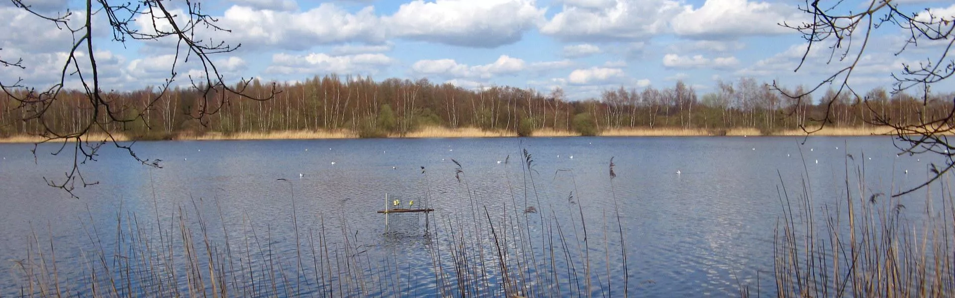 Genieten op een vakantiepark in Maaseik