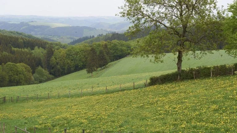 Domaine de la Sapinière-