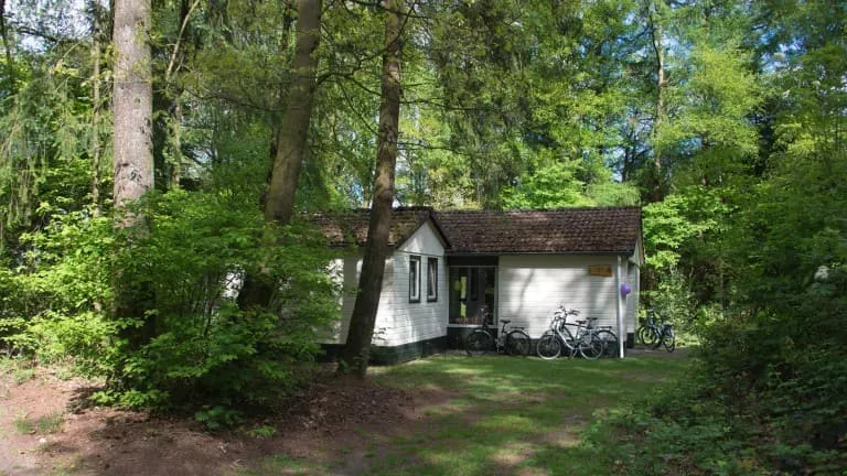 EuroParcs De Wiltzangh-