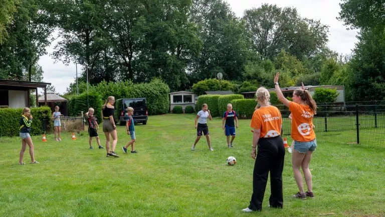 Drentse Weelde