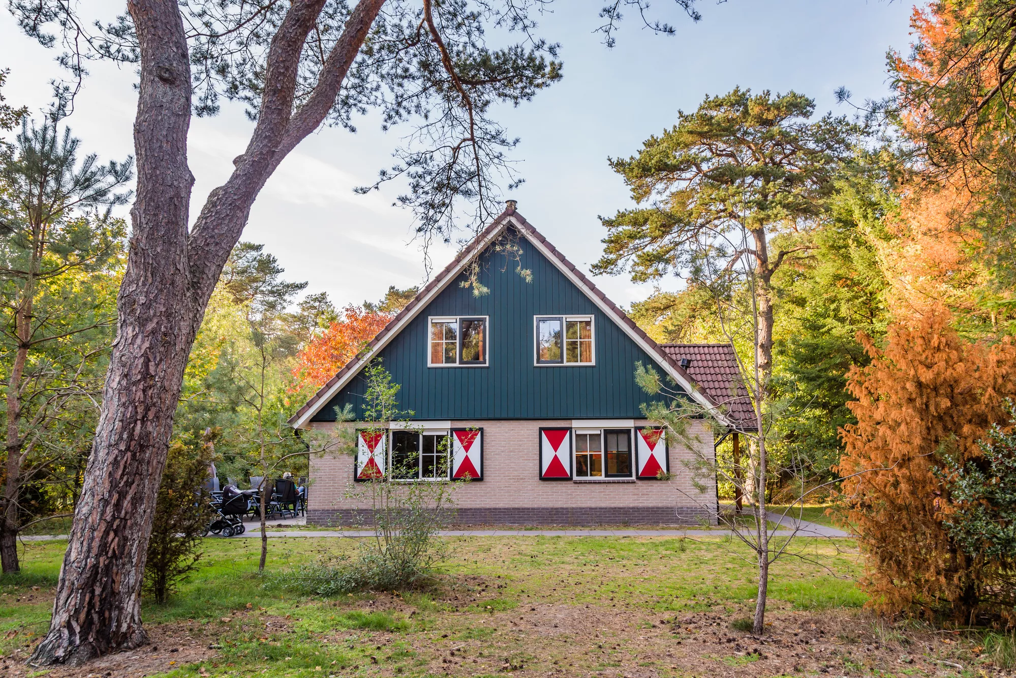 Vakantieparken in een bosrijke omgeving